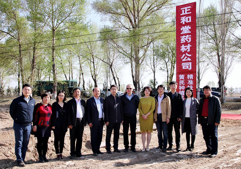 北京盛世龙精准扶贫，共建黄芪种植基地